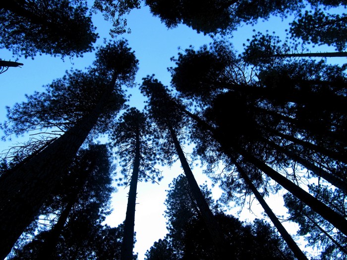 Yes, I know its a derivative perspective, but I did it anyway. I just thought the gradient of color that you see in the sky looked really slick. 